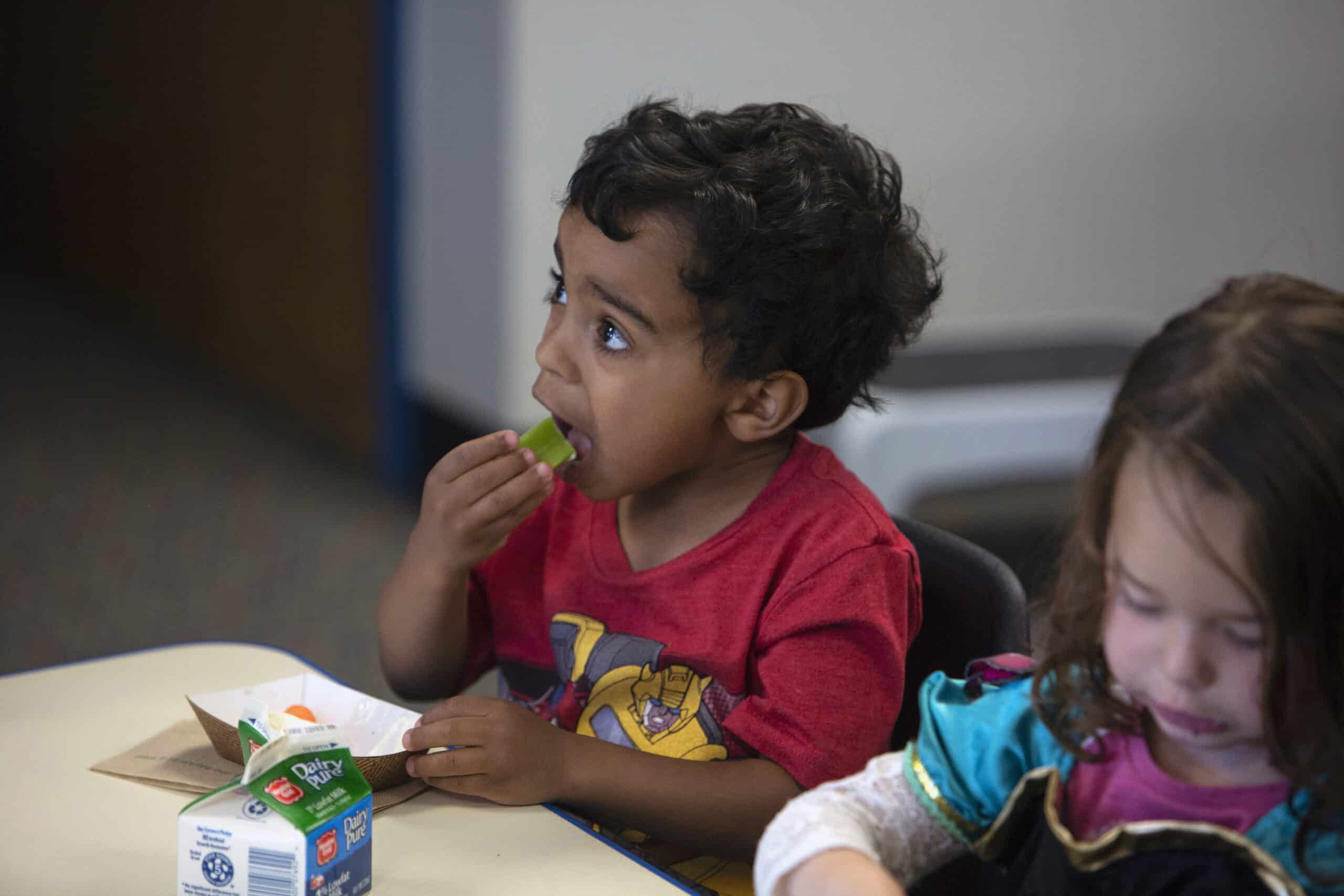 Preschool aged boy eating celery