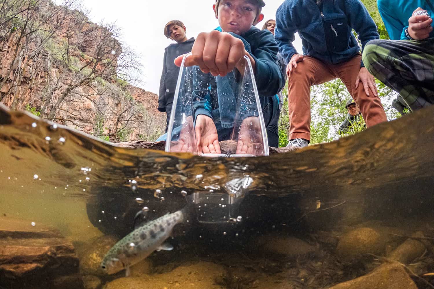 Lyons students releasing trout