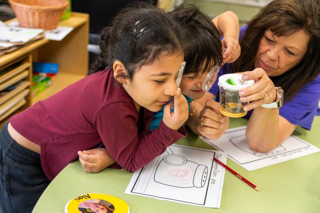 Columbine Elementary Alumnos de preescolar miran con lupa las orugas 