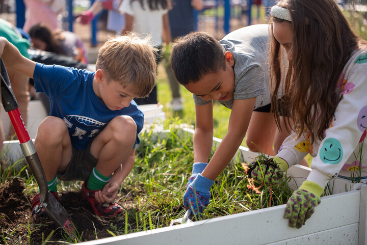 Children gardening together, digging and planting in a raised bed, enjoying outdoor learning and teamwork.