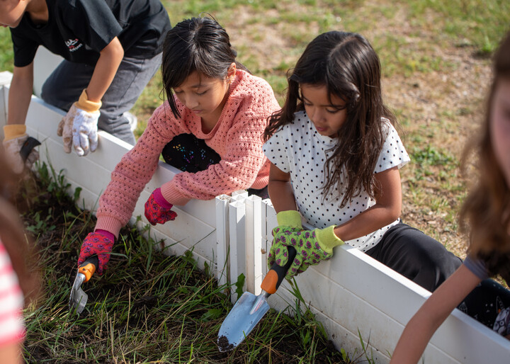 Two children are gardening, using small tools to dig in a raised bed surrounded by grass. They wear colorful gloves.