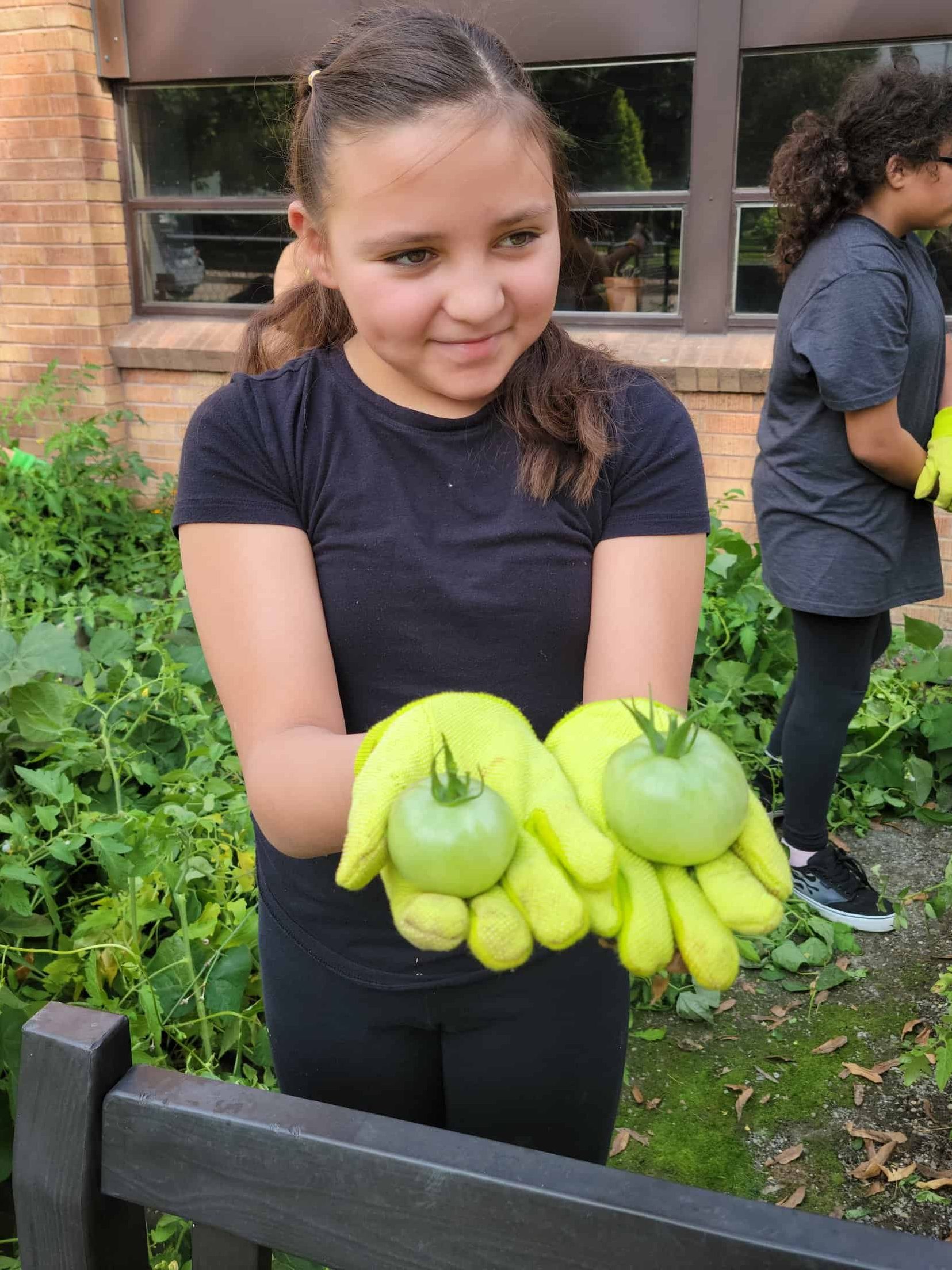 Student with gloves and green tomatoes