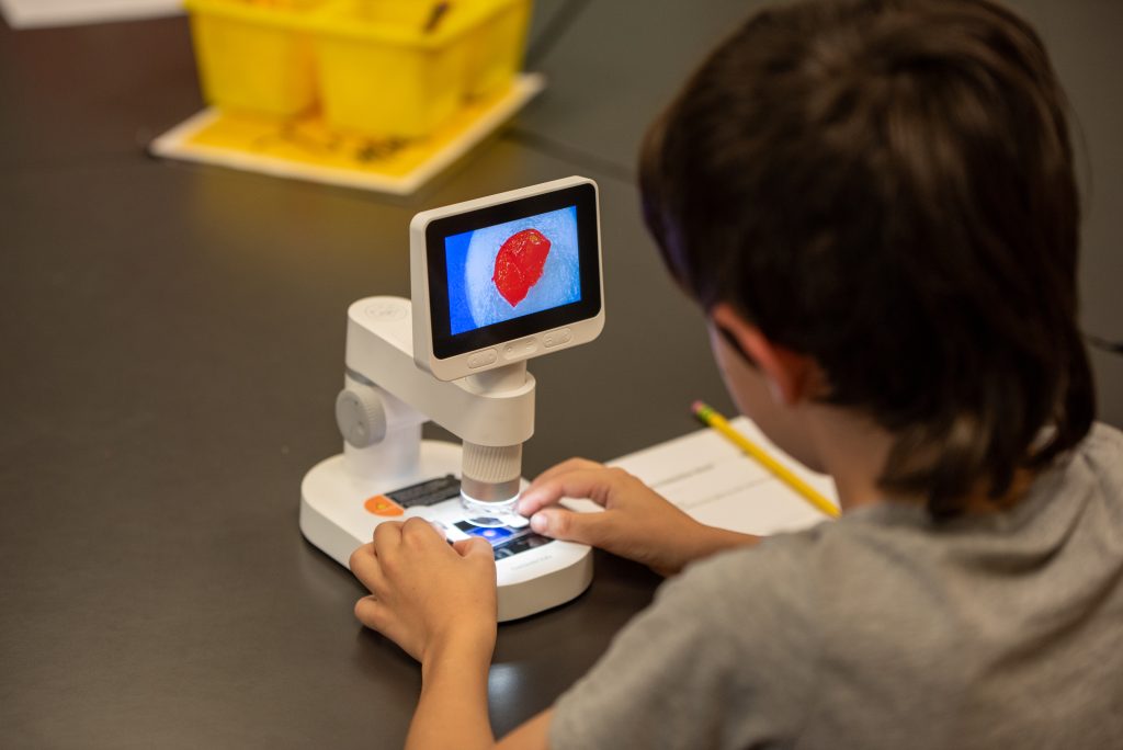 A child observes a specimen through a digital microscope, with a red object displayed on the screen.