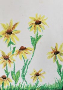 A colorful drawing of sunflowers with yellow petals and brown centers, surrounded by green leaves and grass.