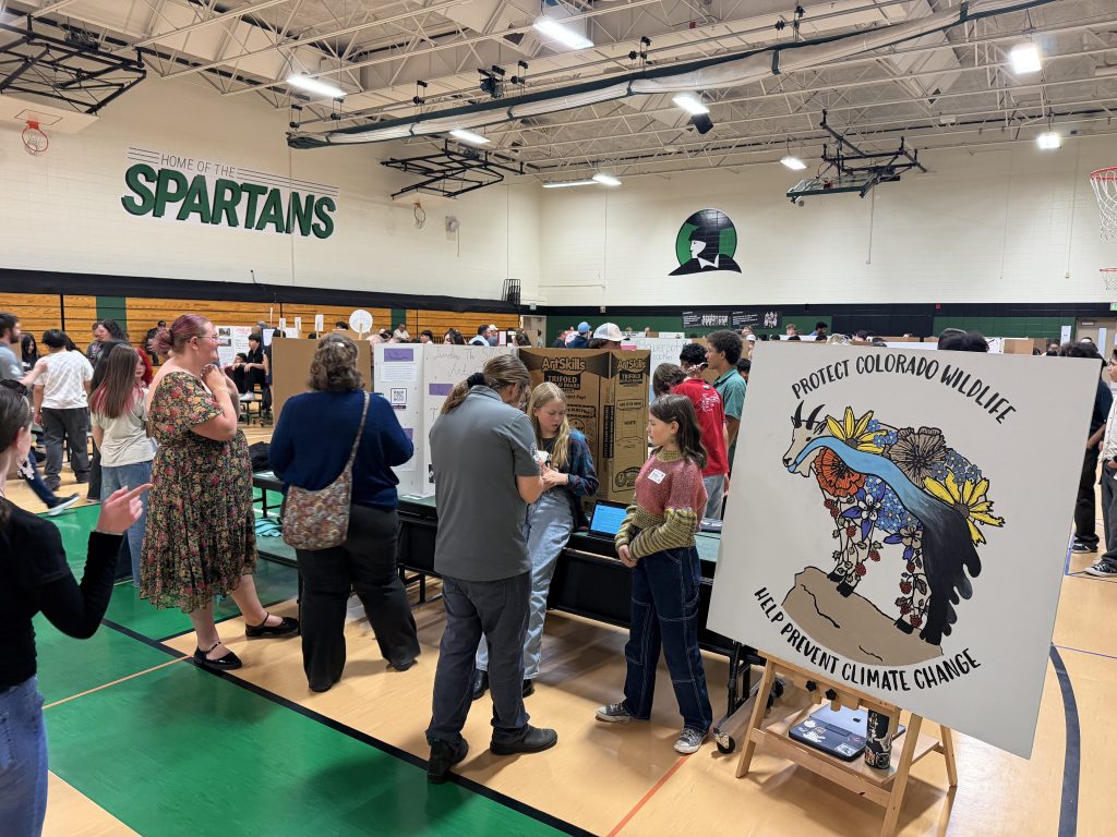 Students gather in a gymnasium for an IB project showcase, featuring projects on wildlife and climate change.