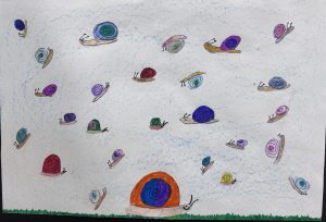A colorful drawing of various snails with spiral shells on a light background, surrounded by green grass.
