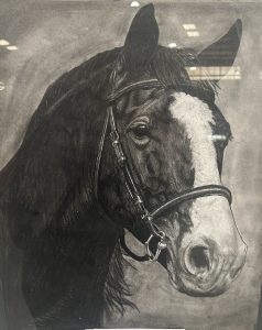 A detailed black and white drawing of a horse's head, featuring a bridle and expressive features.