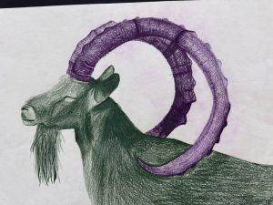 A detailed drawing of a goat's head with prominent green fur and large purple curved horns.
