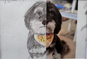 A half-drawn and half-photographed dog with a colorful bandana, showcasing artistic and realistic styles.