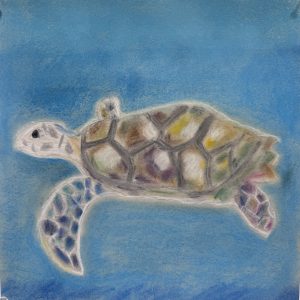 A colorful sea turtle swims against a blue background, showcasing its patterned shell and flippers.