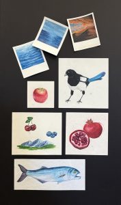 A collage of drawings featuring water, a magpie, fruits, mountains, and a fish on a dark background.