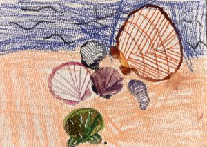 A colorful drawing of seashells on a sandy beach with a blue sky and waves in the background.
