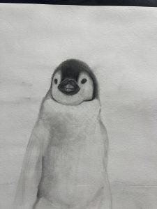 A pencil drawing of a penguin with a rounded face and a small beak, set against a light background.