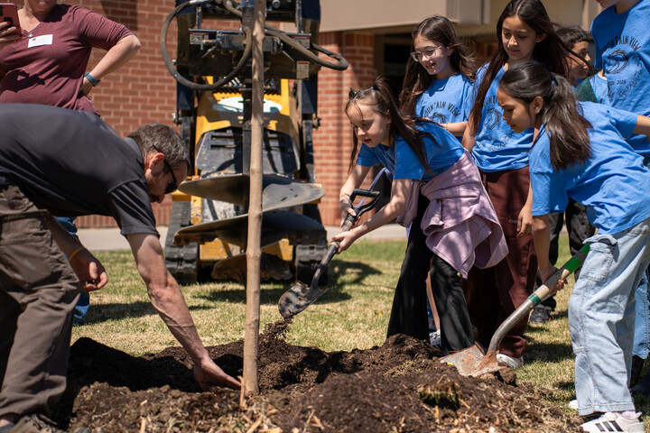 A group of children in blue shirts help plant a tree, using shovels and tools in a sunny outdoor setting.