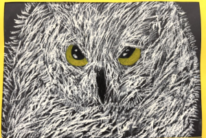 A close-up drawing of an owl with textured gray feathers and striking yellow eyes against a dark background.