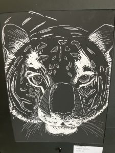 A detailed scratch art depiction of a tiger's face, showcasing its striking features and patterns.