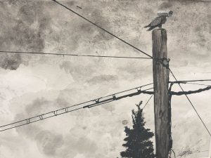 A black-and-white illustration of a utility pole with a surveillance camera and power lines against a cloudy sky.