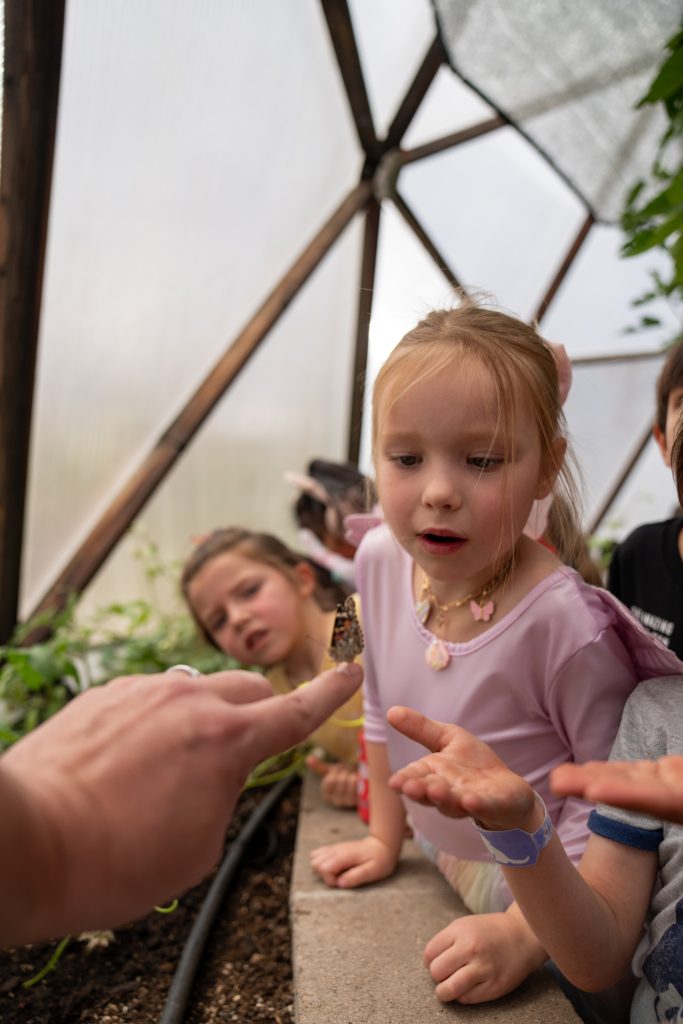Los niños observan con curiosidad cómo una mano sostiene una mariposa en un invernadero.