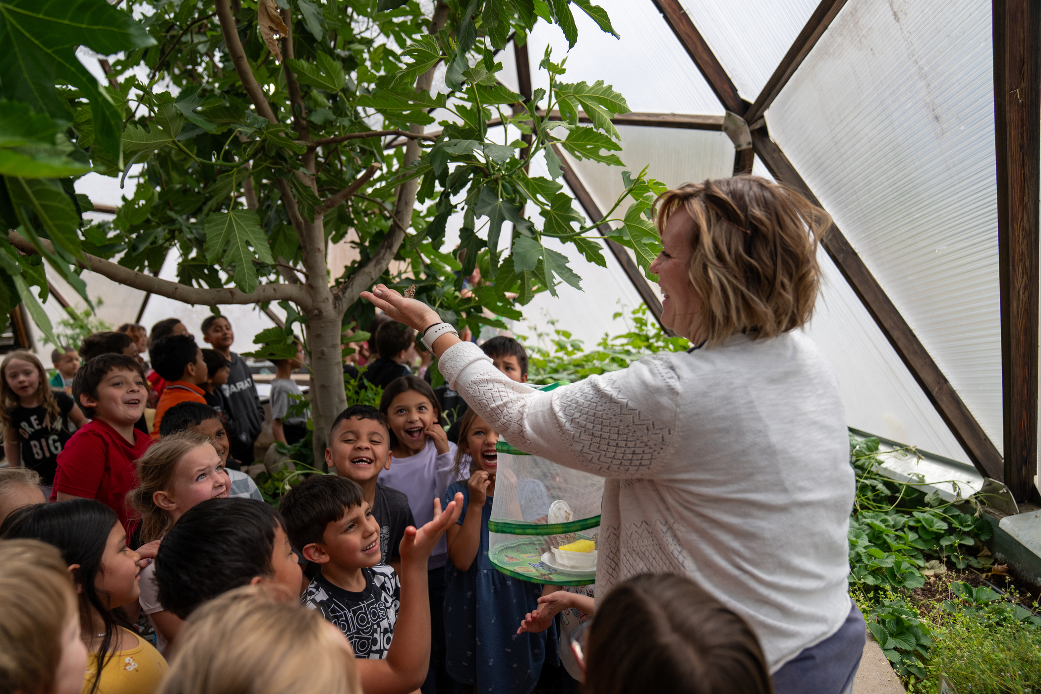 Una profesora muestra una mariposa en un recipiente a un grupo de niños emocionados dentro de un invernadero.